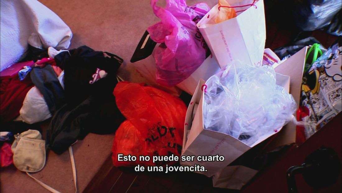Sus Raíces Sus Raíces